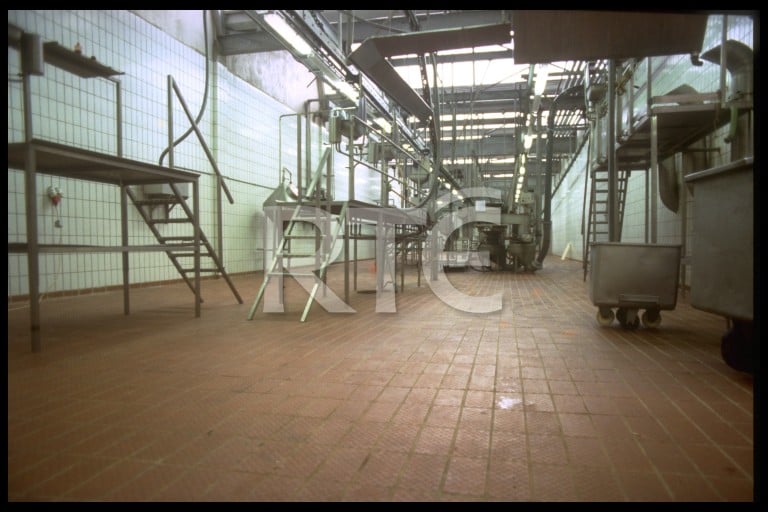 Photographic Archive RTÉ Archives