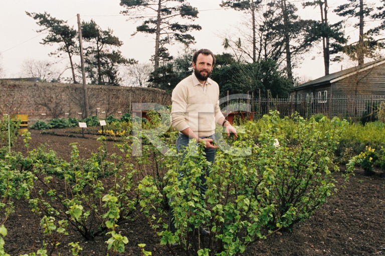  image for id 2080/020