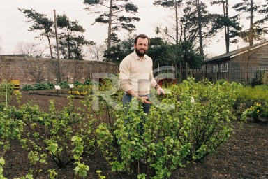  image for id 2080/020