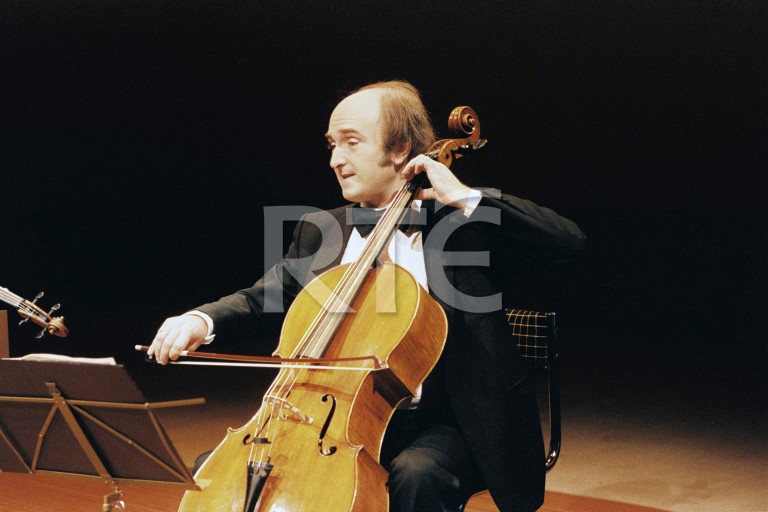  image for id 2300/081